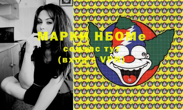индика Балабаново