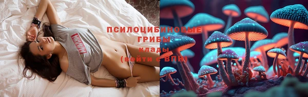 индика Балабаново