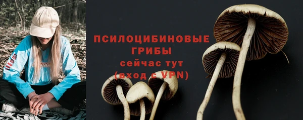 индика Балабаново