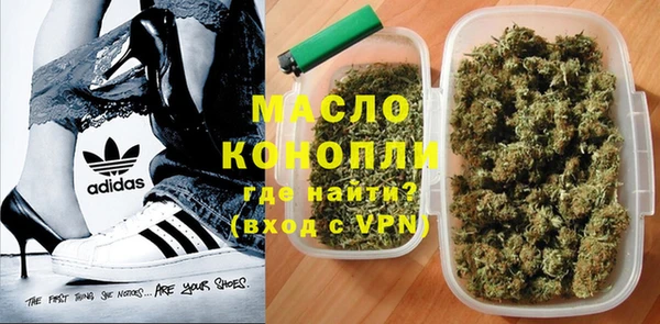 индика Балабаново
