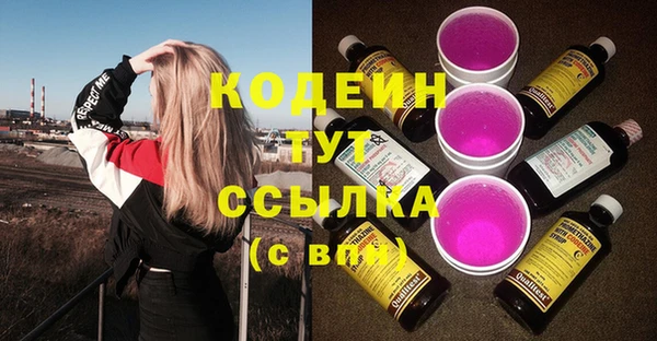 соль ск Дмитриев