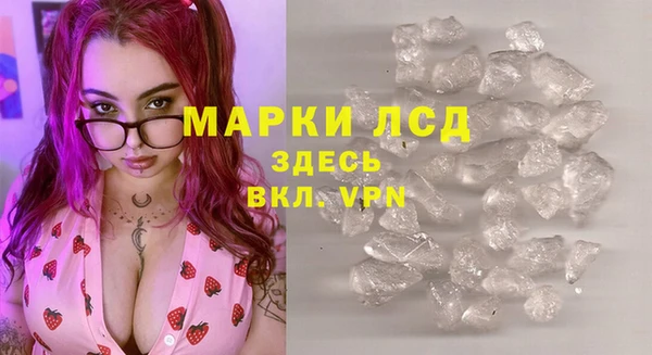 индика Балабаново