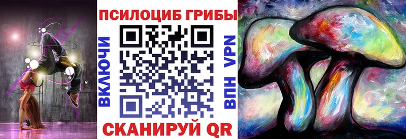 Псилоцибиновые грибы прущие грибы  где купить   Карабаново 